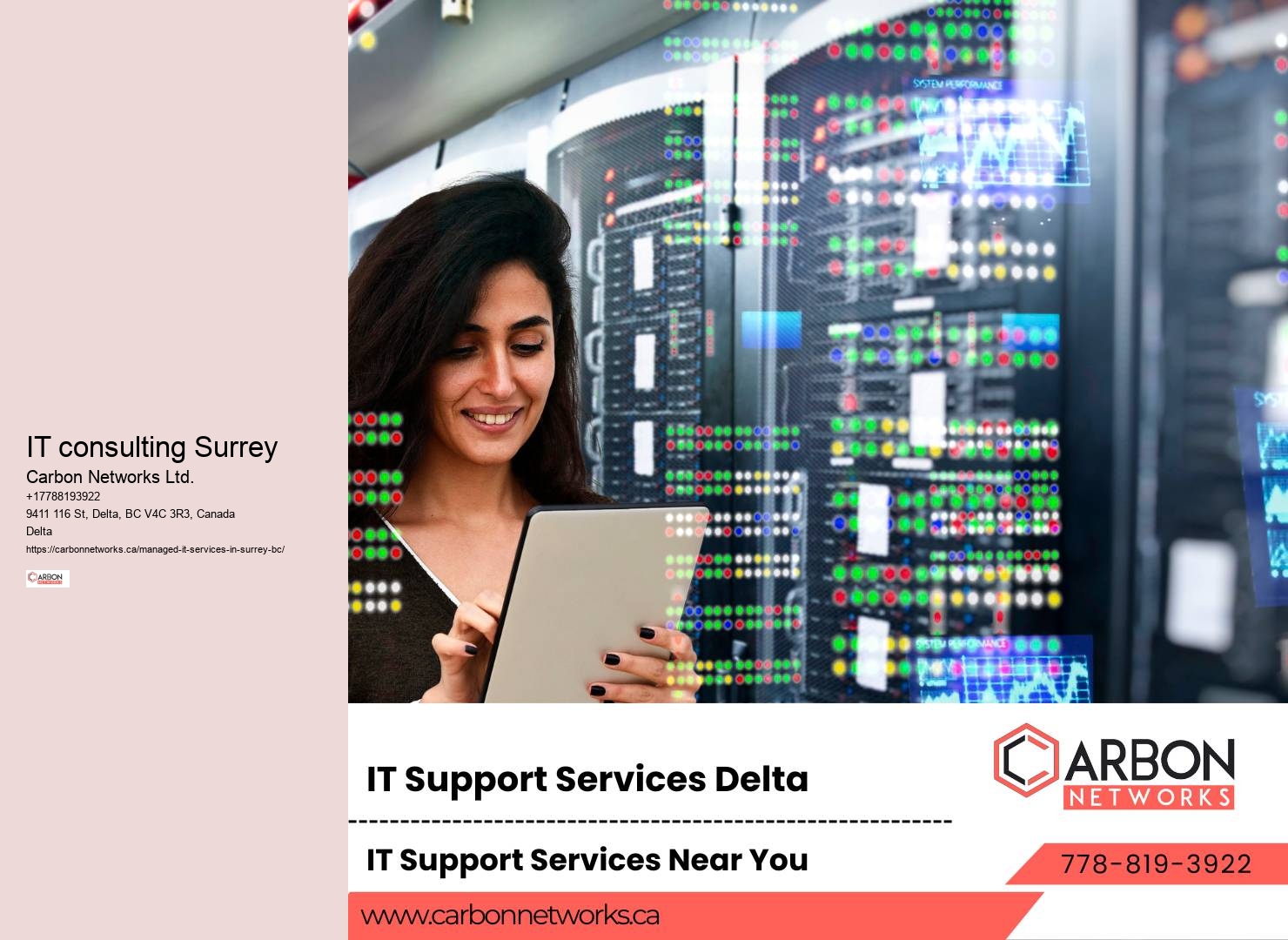 Surrey IT outsourcing strategy